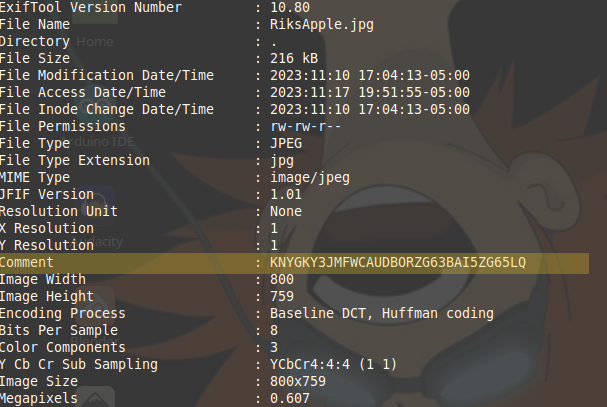 screenshot of Exiftool output in terminal. The Comment image tag is highlighted with yellow to call it out.