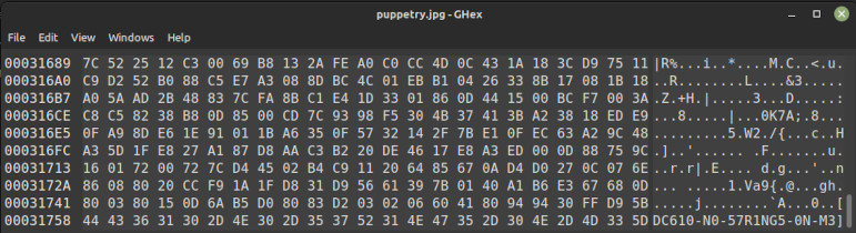 cropped screenshot of a ghex readout revealing the flag: DC610-N0-57R1NG5-0N-M3